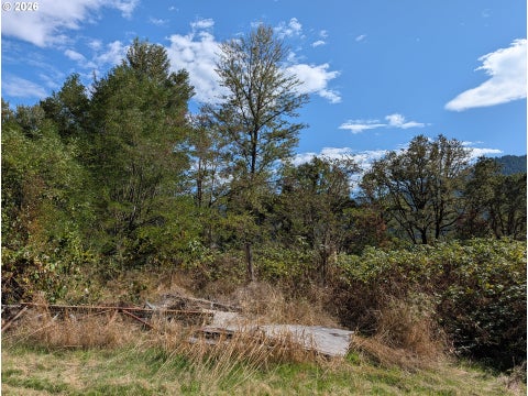 Tiny photo for 76526 W 2nd St, Oakridge, OR 97463 (MLS # 565836682)