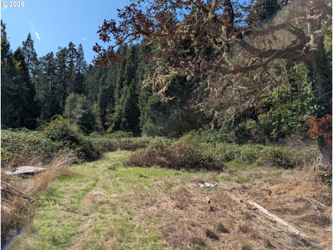 Tiny photo for 76526 W 2nd St, Oakridge, OR 97463 (MLS # 565836682)