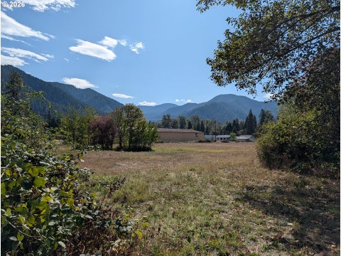 Tiny photo for 76526 W 2nd St, Oakridge, OR 97463 (MLS # 565836682)