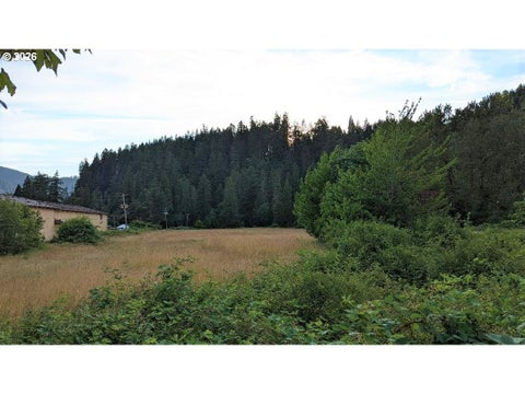 Tiny photo for 76526 W 2nd St, Oakridge, OR 97463 (MLS # 565836682)
