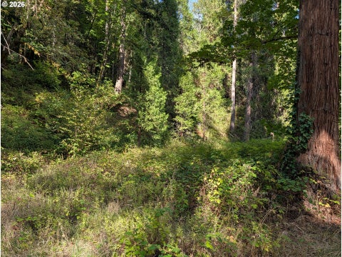 Tiny photo for 76526 W 2nd St, Oakridge, OR 97463 (MLS # 565836682)