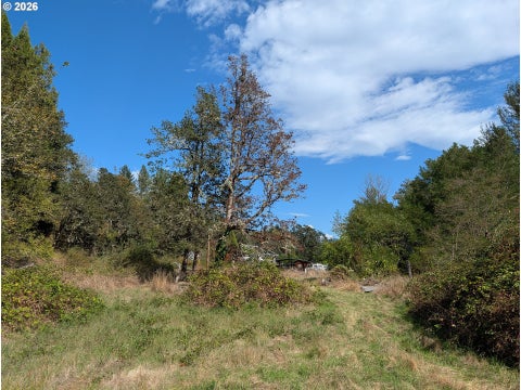 Tiny photo for 76526 W 2nd St, Oakridge, OR 97463 (MLS # 565836682)