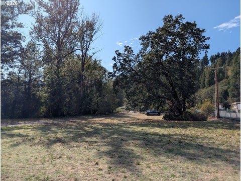 Tiny photo for 76526 W 2nd St, Oakridge, OR 97463 (MLS # 565836682)