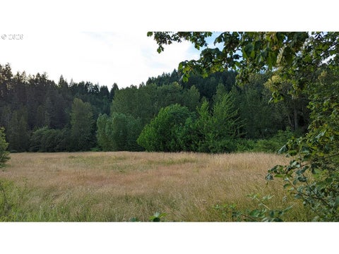 Tiny photo for 76526 W 2nd St, Oakridge, OR 97463 (MLS # 565836682)