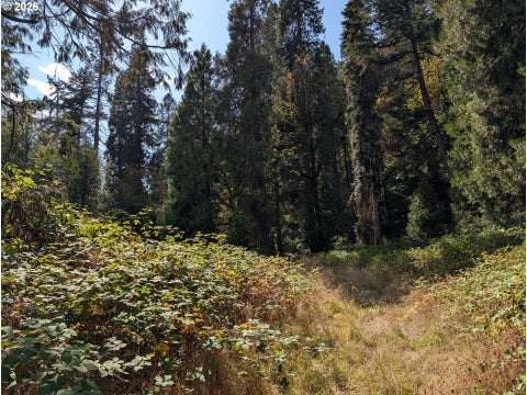 Tiny photo for 76526 W 2nd St, Oakridge, OR 97463 (MLS # 565836682)