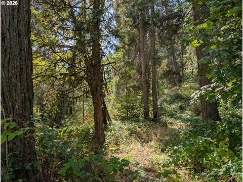 Tiny photo for 76526 W 2nd St, Oakridge, OR 97463 (MLS # 565836682)