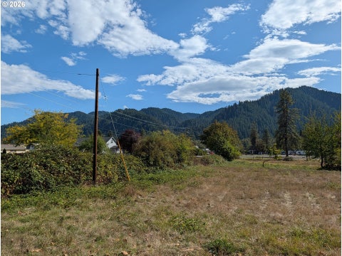 Tiny photo for 76526 W 2nd St, Oakridge, OR 97463 (MLS # 565836682)