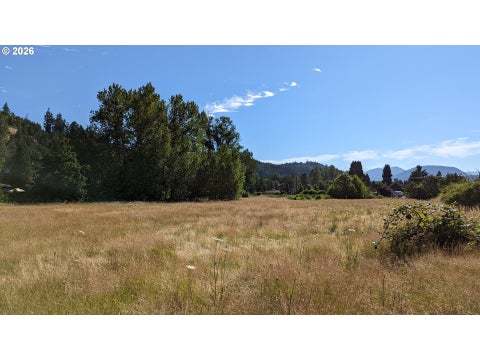 Tiny photo for 76526 W 2nd St, Oakridge, OR 97463 (MLS # 565836682)