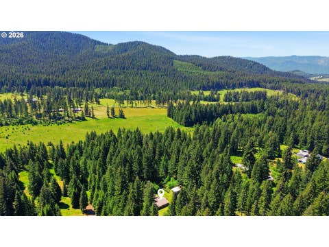 Tiny photo for 49782 Huckleberry Rd, Oakridge, OR 97463 (MLS # 694093306)