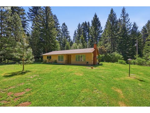 Photo of 49782 Huckleberry Rd, Oakridge, OR 97463 (MLS # 694093306)