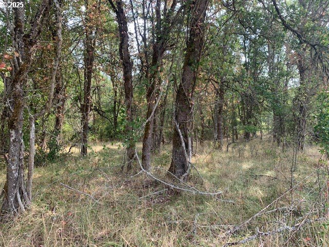 0 NE NEWTON CREEK RD 93
