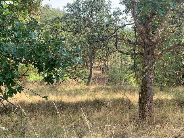 0 NE NEWTON CREEK RD 93