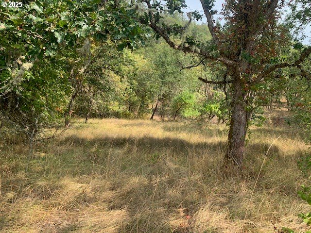 0 NE NEWTON CREEK RD 93
