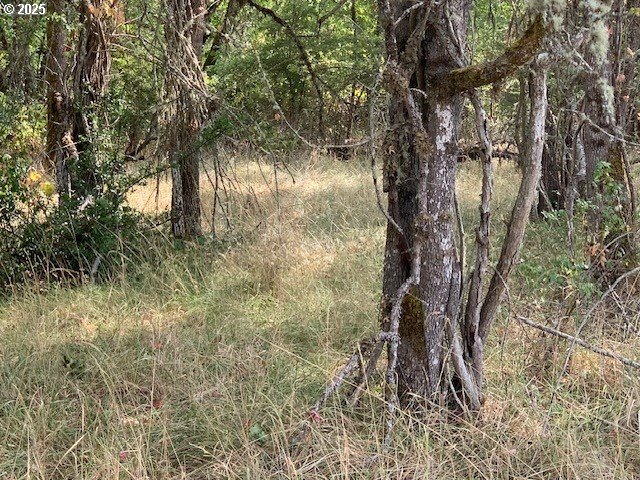 0 NE NEWTON CREEK RD 93