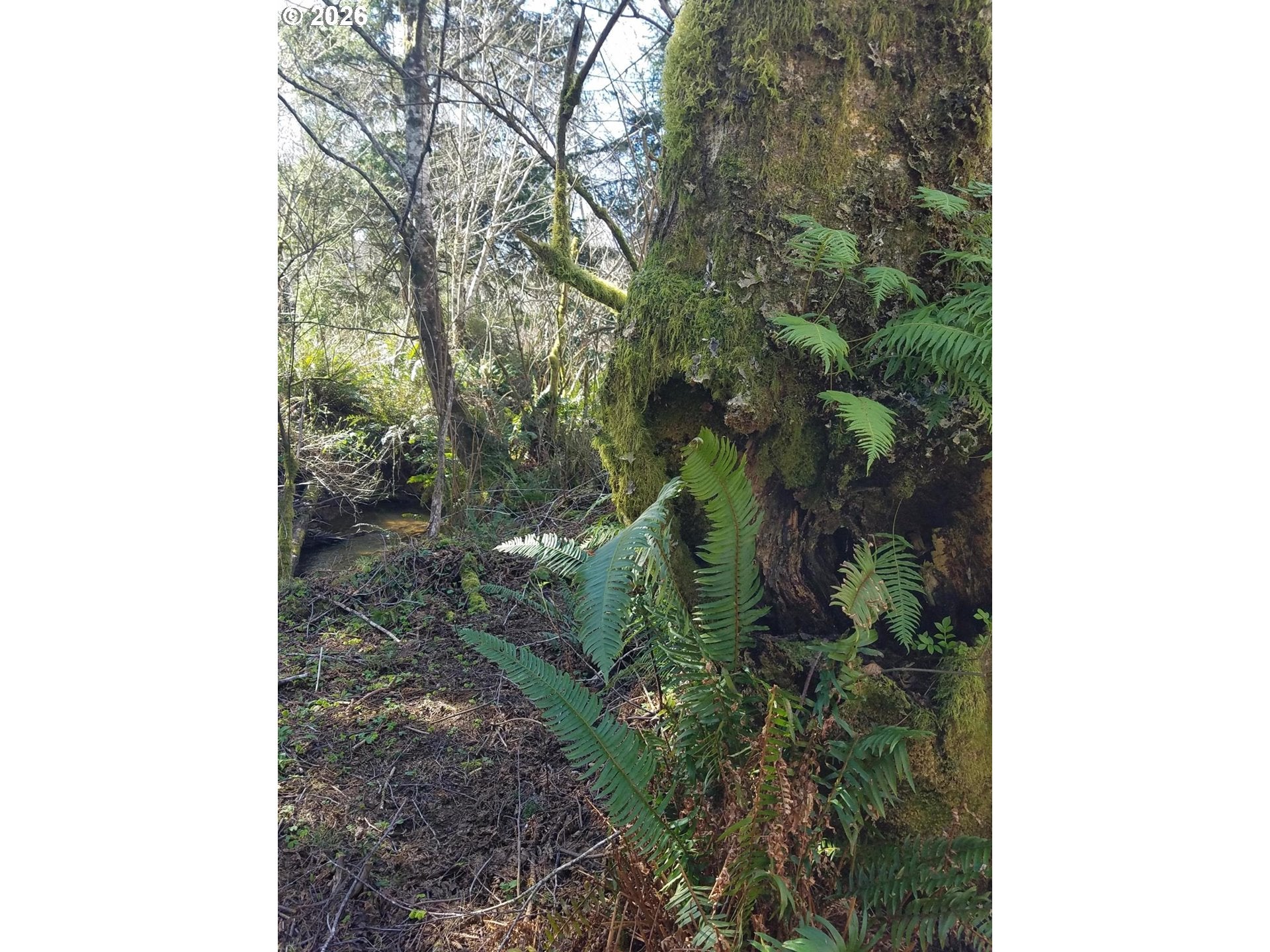 Holly Heights AVE TL 218
