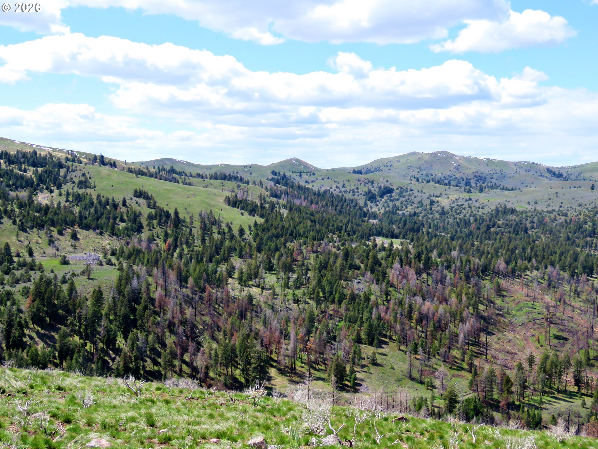 Clarks Creek Rd