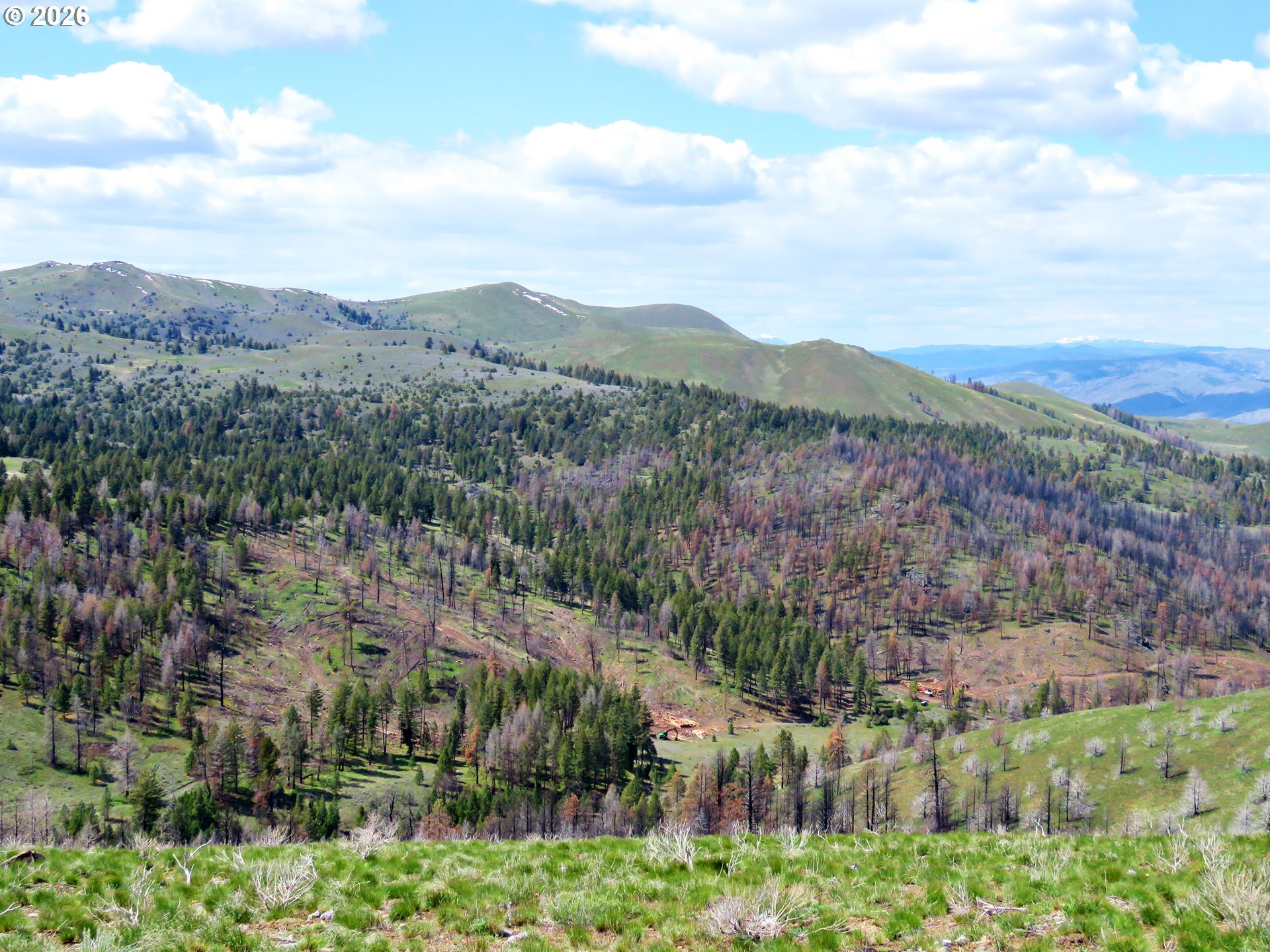 Clarks Creek Rd