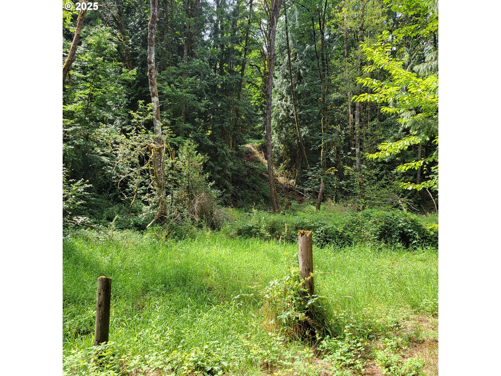 Coal Creek W
