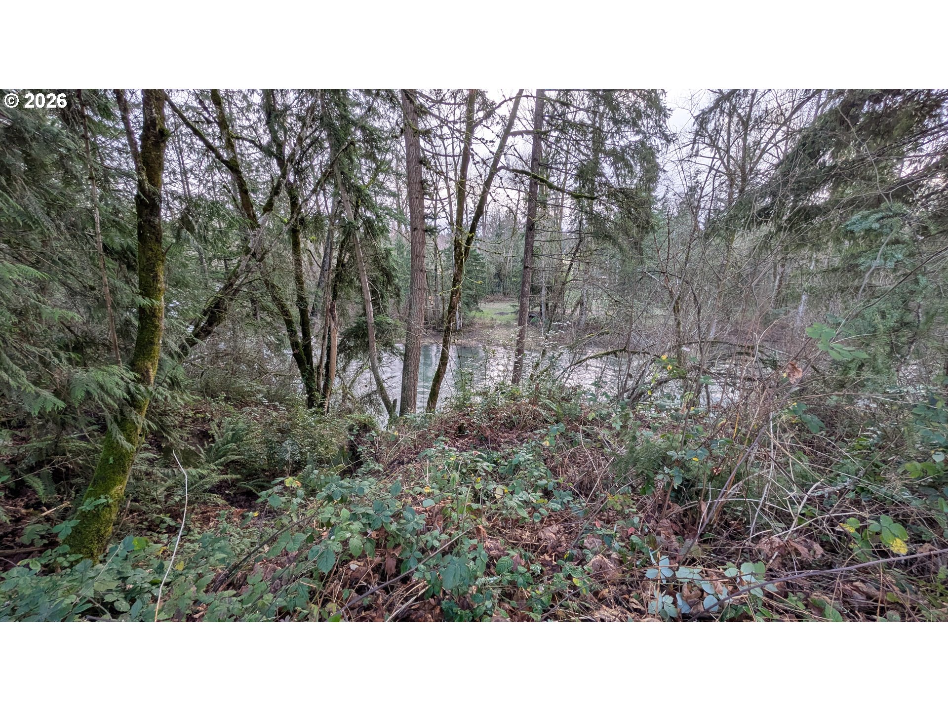 16150 S RIVERVIEW RD