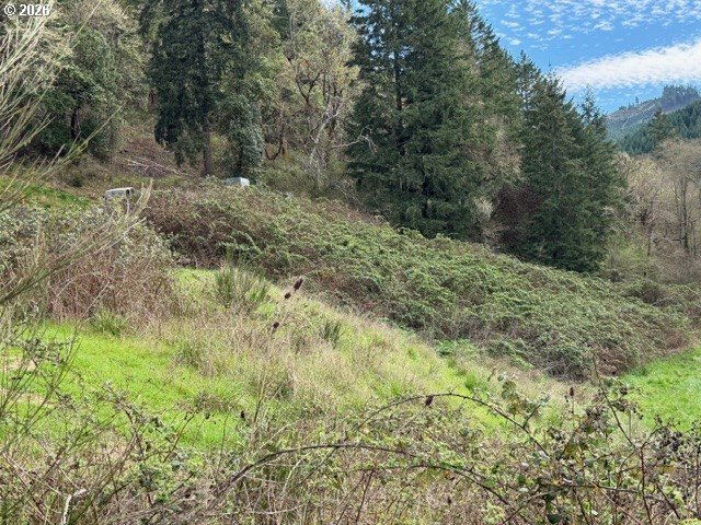 1027 FOREST HEIGHTS ST 19-21