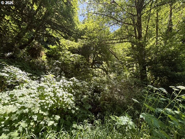 Sweet Creek Road