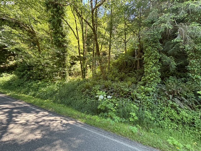 Sweet Creek Road