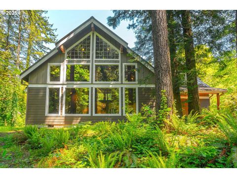 25815 NE LUCIA FALLS RD Yacolt WA 98675