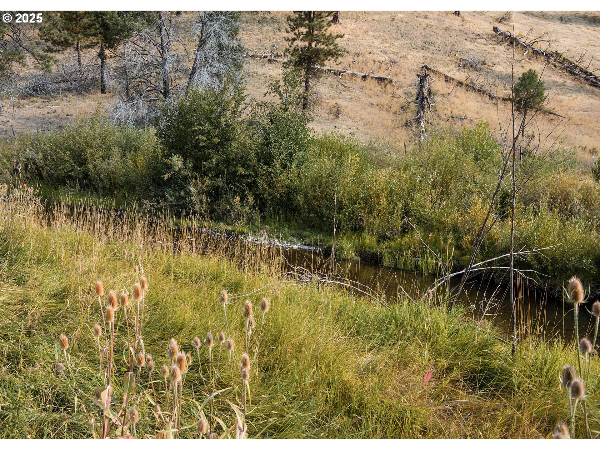 60813 CANYON CREEK LN