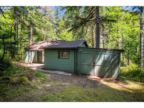Photo of 49091 Salt Creek Rd, Oakridge, OR 97463 (MLS # 465167552)