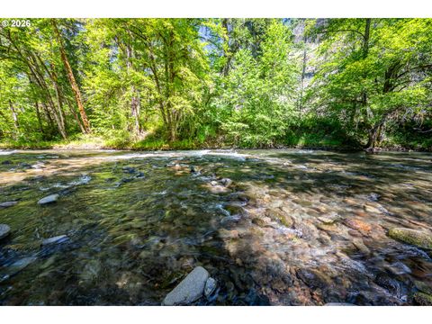 Tiny photo for 49091 Salt Creek Rd, Oakridge, OR 97463 (MLS # 465167552)