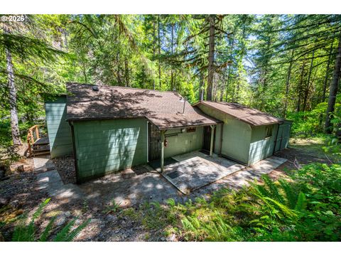 Tiny photo for 49091 Salt Creek Rd, Oakridge, OR 97463 (MLS # 465167552)