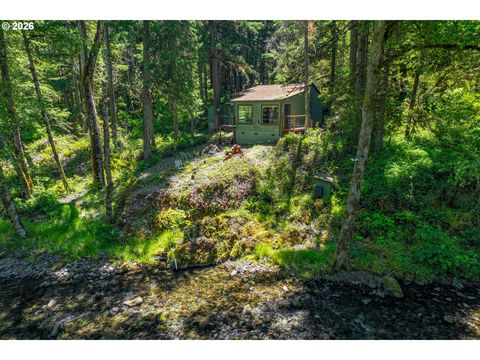 Tiny photo for 49091 Salt Creek Rd, Oakridge, OR 97463 (MLS # 465167552)