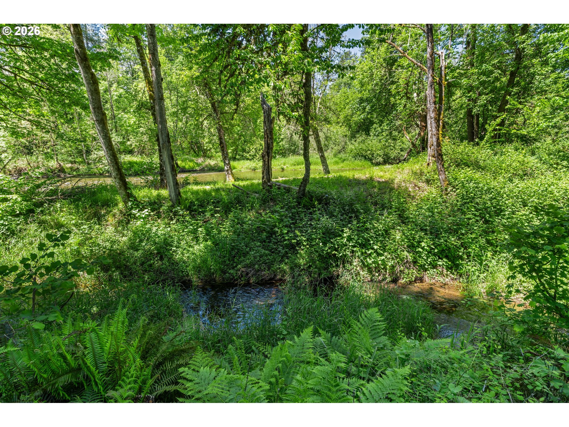 41577 DEERHORN RD
