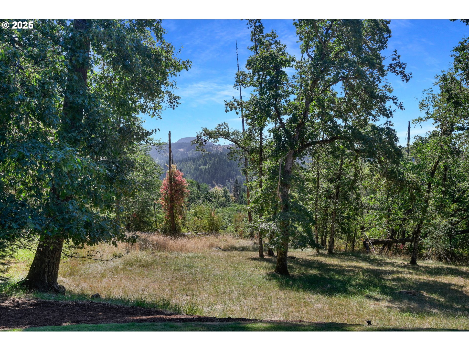 2692 BLACKTAIL DR