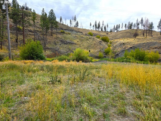 25920 HWY 395 S, CANYON CITY, OR 97820 - Image d5a892ea911d4e6411eed1882cfc3b39/1083909712