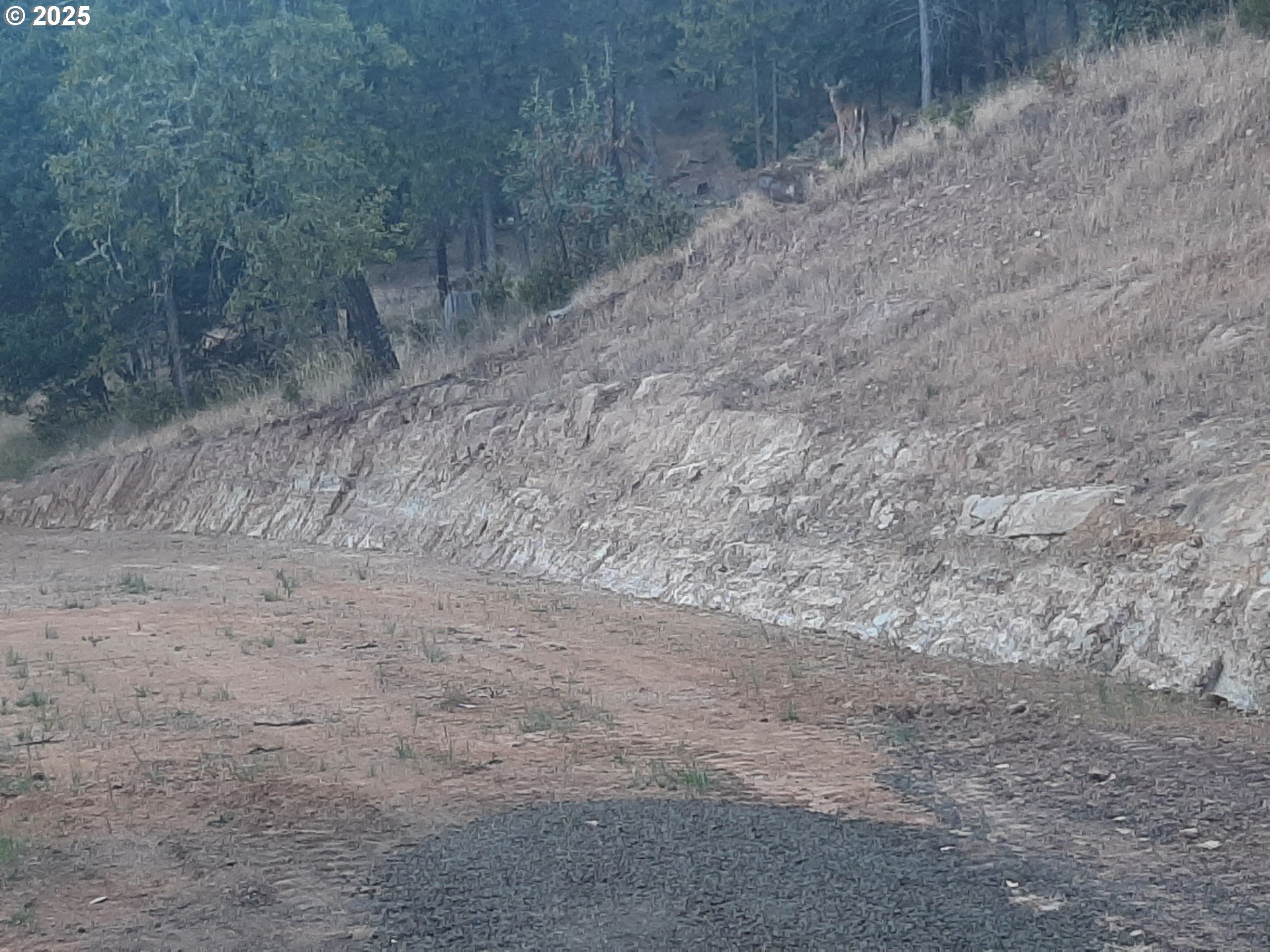 Roseburg, Oregon 97471, United States, ,Land,Active,72623