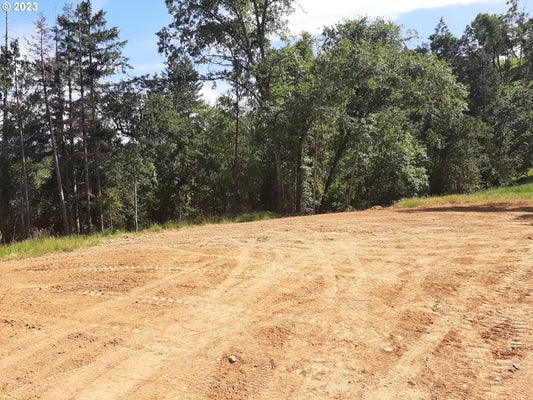 625 PANORAMA LN, ROSEBURG, OR 97471 - Image d5a8fc0122db1d7aa426cbcdc068df33/3482092563
