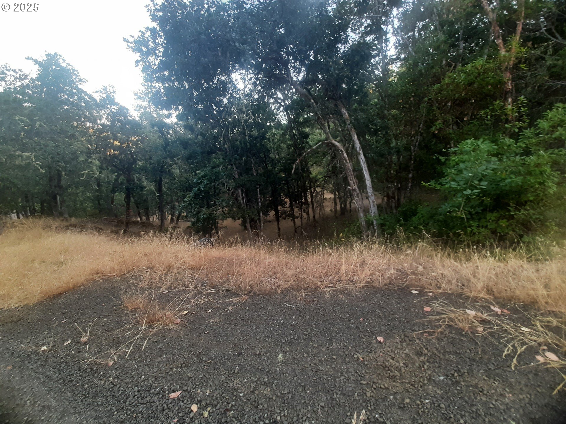 Roseburg, Oregon 97471, United States, ,Land,Active,72623