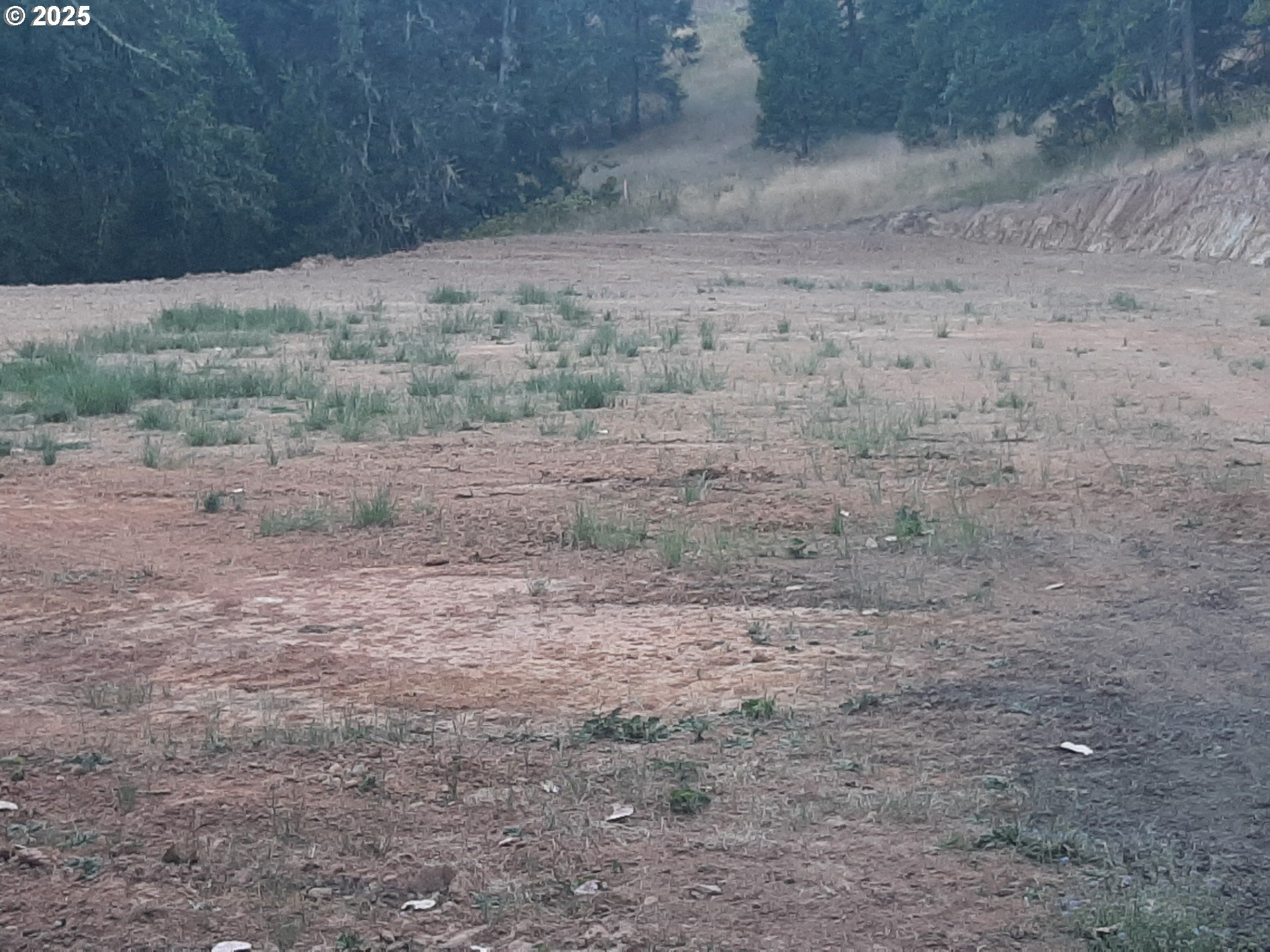 Roseburg, Oregon 97471, United States, ,Land,Active,72623