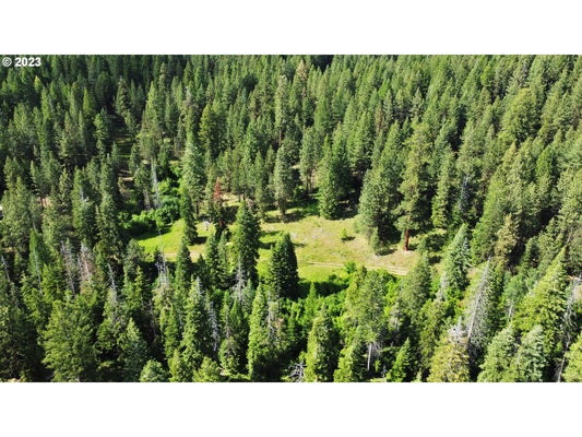 0 SURPRISE SPRINGS RD, BAKER CITY, OR 97814 - Image d65dcebccdea4f46d29fc4db9bb4ca08/2268175493