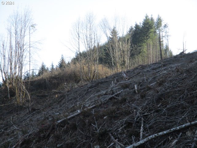 000 Abiqua Dam (SMALL)