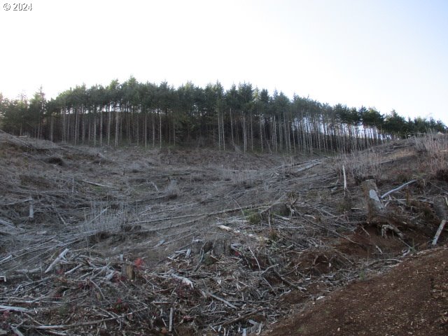 000 Abiqua Dam (SMALL)