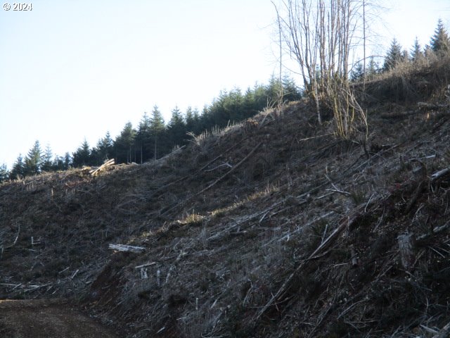 000 Abiqua Dam (SMALL)