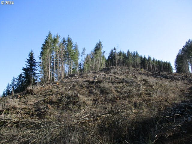 000 Abiqua Dam (SMALL)