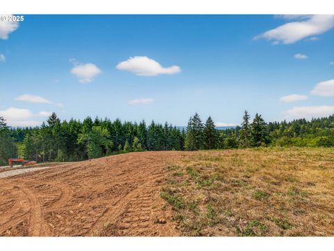 236 Jordan View DR Woodland WA 98674