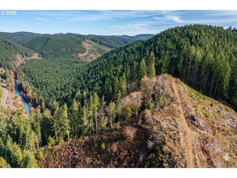 Upper Smith River RD TL1500 Reedsport OR 97467