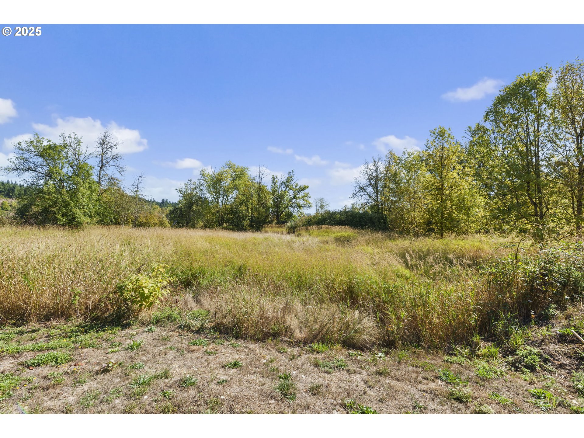 Centralia, Washington 98531, United States, 3 Bedrooms Bedrooms, ,1 BathroomBathrooms,Residential,Active,213297