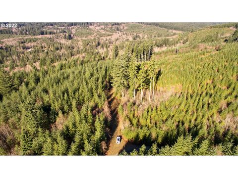 Photo of 3 NE Jones Creek Rd, Camas, WA 98607 (MLS # 24019163)