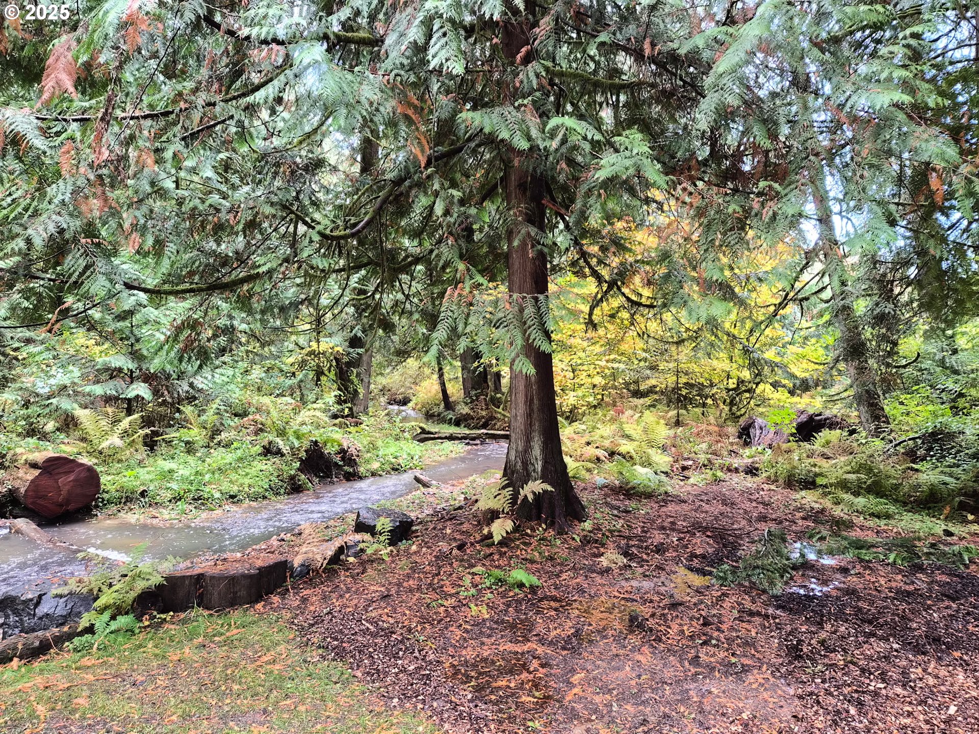 Brush Prairie, Washington 98606, United States, ,Land,Active,233951