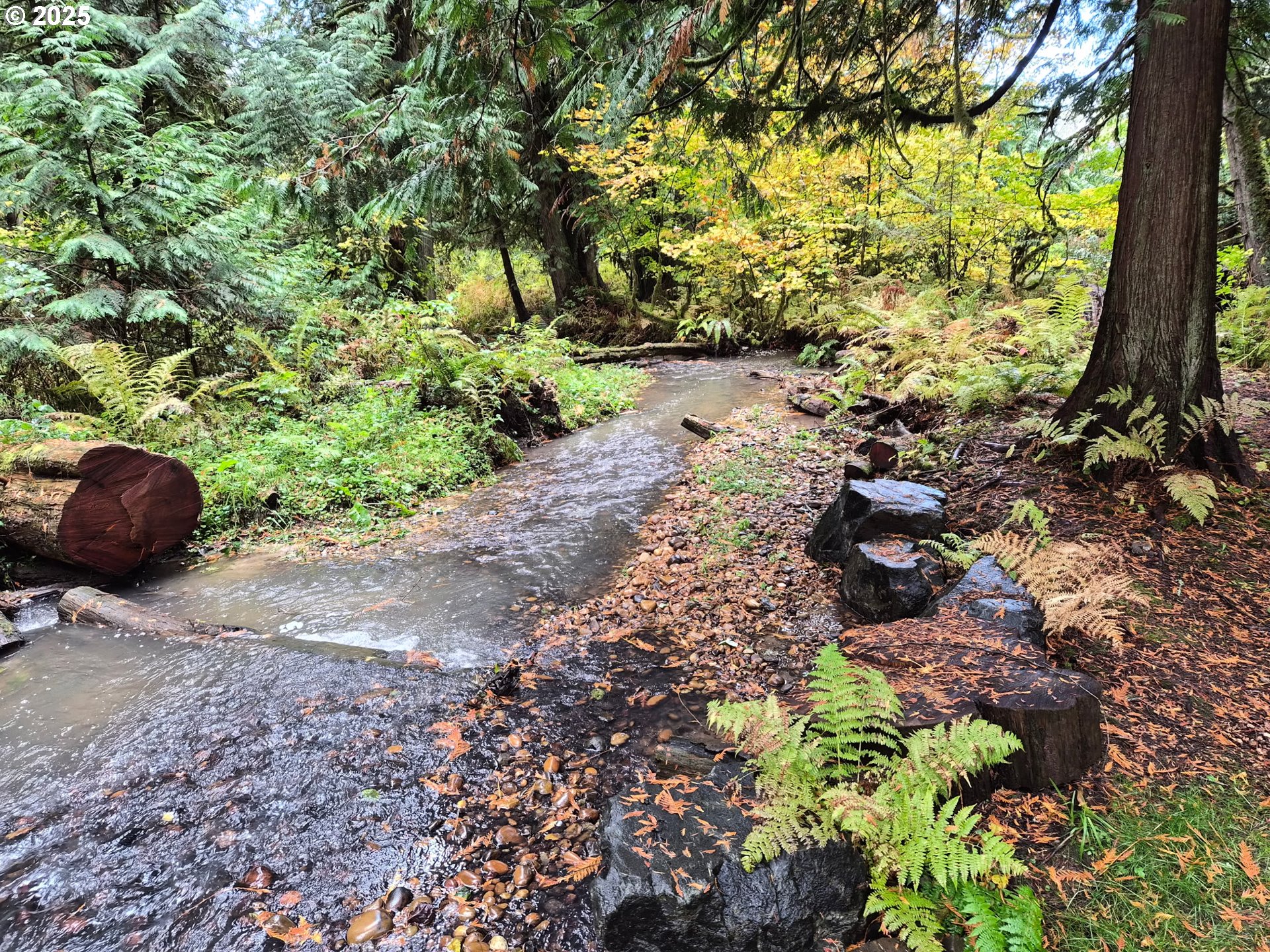 Brush Prairie, Washington 98606, United States, ,Land,Active,233951